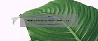 Best Plant Based Breakfast Ideas to Start Your Day Right