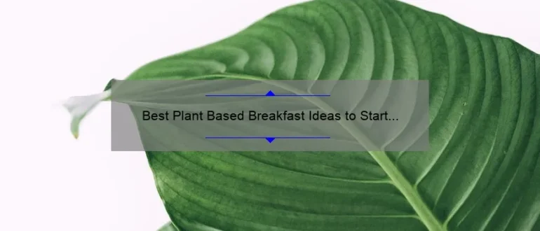 Best Plant Based Breakfast Ideas to Start Your Day Right