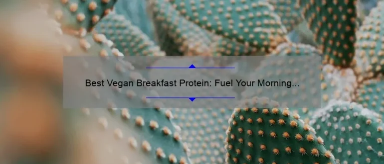 Best Vegan Breakfast Protein: Fuel Your Morning with Plant-Based Power