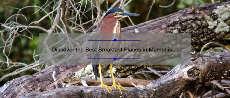 Discover the Best Breakfast Places in Memphis: Uncover Memorable Morning Delights!