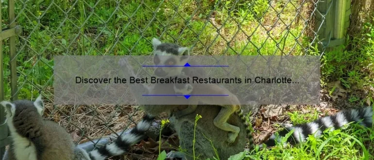 Discover the Best Breakfast Restaurants in Charlotte NC for a Memorable Morning Meal